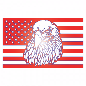 American Flag Eagle Flag Sticker - U.S. Custom Stickers