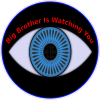 Big Brother Is Watching You Eye Sticker - U.S. Custom Stickers
