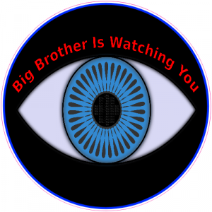 Big Brother Is Watching You Eye Sticker - U.S. Custom Stickers