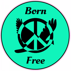 Born Free Peace Dove Sticker - U.S. Custom Stickers