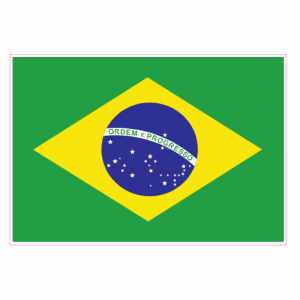 Brazil Flag Sticker - U.S. Custom Stickers