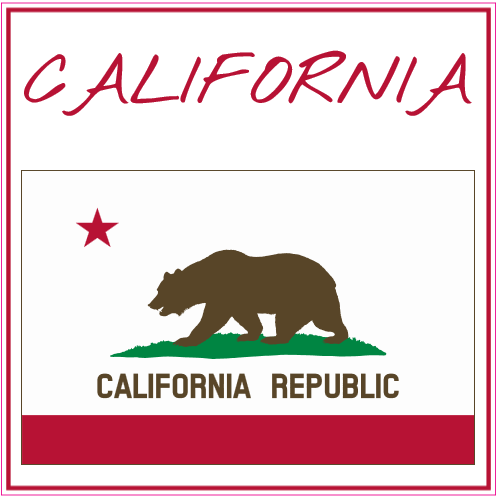 California Flag Square Decal - U.S. Custom Stickers