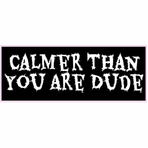 Calmer Than You Are Dude Sticker - U.S. Custom Stickers