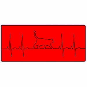 Cat EKG Sticker - U.S. Custom Stickers