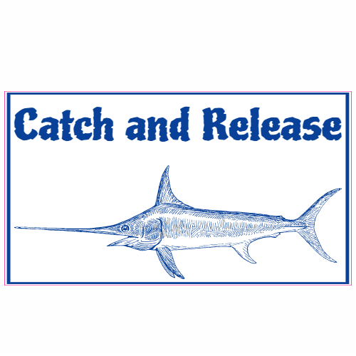 Catch And Release Marlin Sticker - U.S. Custom Stickers