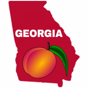 Georgia Peach Red State Shaped Decal - U.S. Customer Stickers