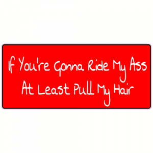 If You're Gonna Ride My Ass At Least Pull My Hair Sticker - U.S. Custom Stickers