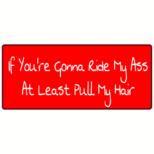 If You're Gonna Ride My Ass At Least Pull My Hair Sticker - U.S. Custom Stickers