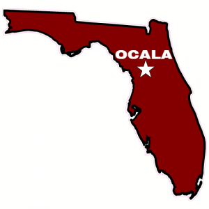 Ocala Florida State Shaped Decal - U.S. Customer Stickers