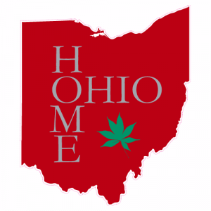 Ohio Home Buckeye Leaf State Decal - U.S. Customer Stickers