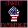 Stand Up For Whats Right American Flag Fist Sticker - U.S. Custom Stickers