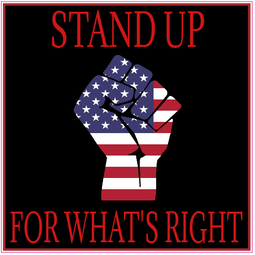 Stand Up For Whats Right American Flag Fist Sticker U.S. Custom Stickers