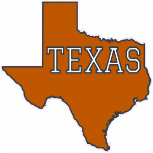 Texas Burnt Orange State Shaped Decal - U.S. Customer Stickers