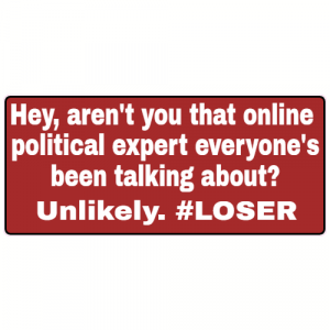 The Online Political Expert Decal - U.S. Customer Stickers