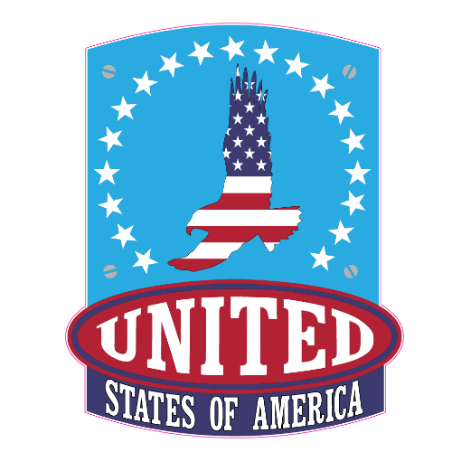 USA American Flag Eagle Shield Sticker - U.S. Custom Stickers
