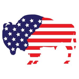 Proud American Buffalo Flag Sticker - U.S. Custom Stickers