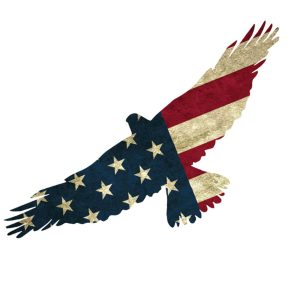 USA Proud American Eagle Flag Sticker - U.S. Custom Stickers