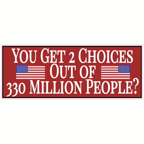 You Only Get 2 Choices Election Day Decal - U.S. Customer Stickers