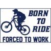Born To Ride Forced To Work MTB Sticker - U.S. Custom Stickers