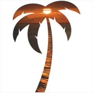 Palm Tree Ocean Sunset Sticker - U.S. Custom Stickers