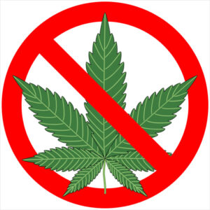 No Weed Allowed Sticker - U.S. Custom Stickers