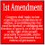 1st Amendment Definition Sticker