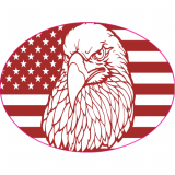 American Flag Eagle Oval Decal