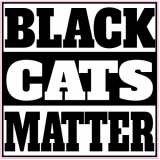 Black Cats Matter Decal