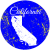 California State Distressed Circle Sticker
