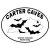 Carter Caves Bat Oval Sticker