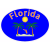 Florida Palm Trees Sunshine Blue Oval Decal