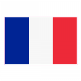 France Flag Decal