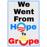 From Hope To Grope Decal
