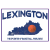 Lexington Basketball Worldwide Distressed Sticker