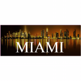 Miami Night Skyline Decal