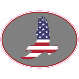 Patriotic American Eagle Oval Decal
